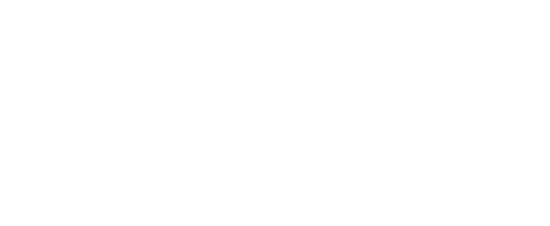 TrafficCounter.de